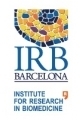 Institute for Research in Biomedicine (IRB Barcelona)