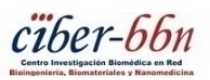 CIBER-BBN