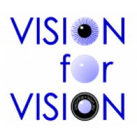 Procesamiento de imagen optimizada