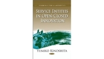 Service entities in open-closed innovation (economic issues, problems and perspectives)