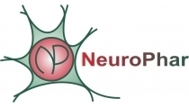 Powerful paradigms for evaluating painkillers in rodents