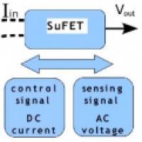 Triaxial Induction (Search-coil) Magnetic Field Sensor of an Ultimate Sensitivity for Displaying Measurement of the Environmental, Industrial, and Biological Signals