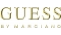 Our brands