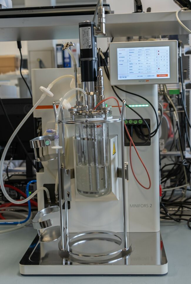 Production of Lactic Acid from 5C lignocellulosic sugars