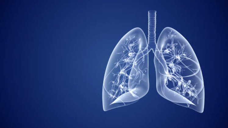 Method for determining prognosis in subjects diagnosed with pulmonary arterial hypertension