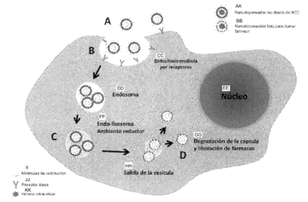 Coverage of carbon nanotubes for use as an anchoring system for nano and micrometer devices with therapeutic activity