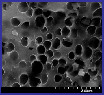 Carbon composites based on bacterial biomass for manufacturing of electrode materials