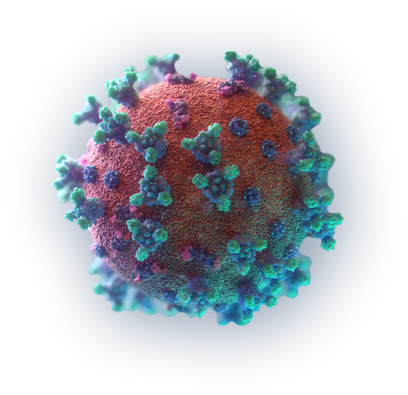 Novel Activating Antibodies for Viral Treatment