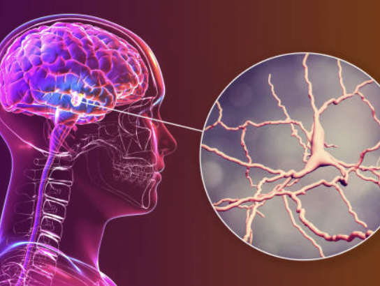 Composition for Treating Neurodegenerative Diseases