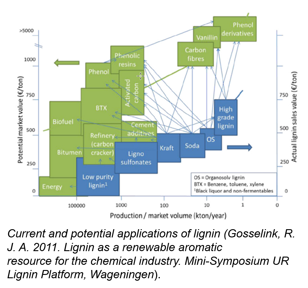 METNIN™ TECHNOLOGY IS A LIGNIN REFINERY - SUSTAINABLE PATH TO REPLACE OLD BASED CHEMISTRY IN HIGH VALUE END USER PRODUCTS