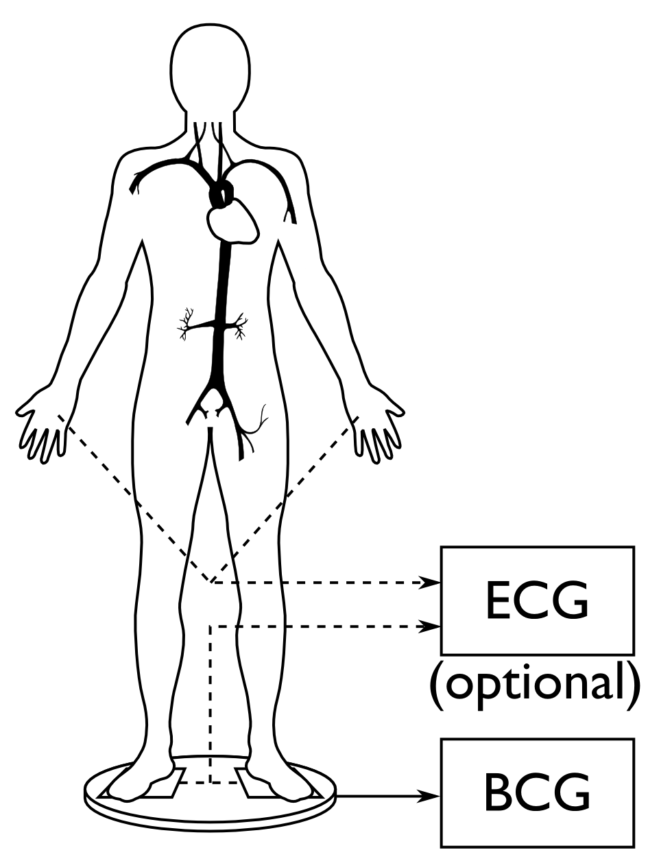 Cardiovascular health assessment from a common electronic weighing scale