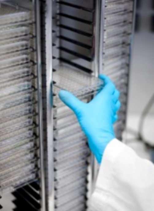 Seeking compound libraries for a high throughput screening to develop new products