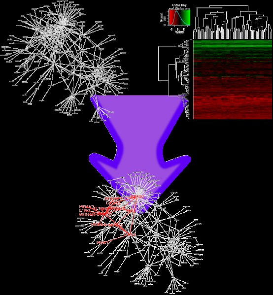 Multimodal spectral clustering technology