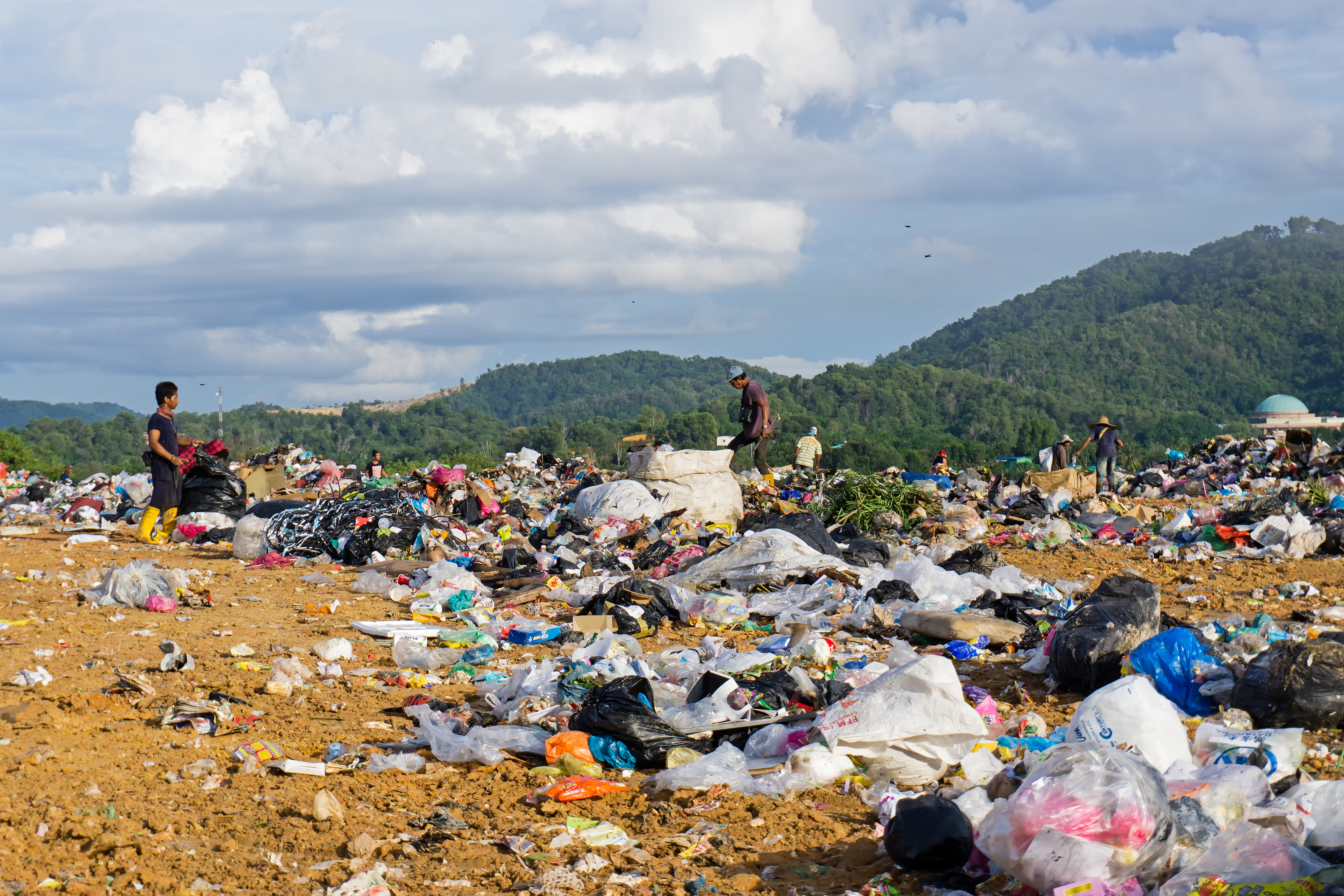 Seeking solutions for the Circular Economy