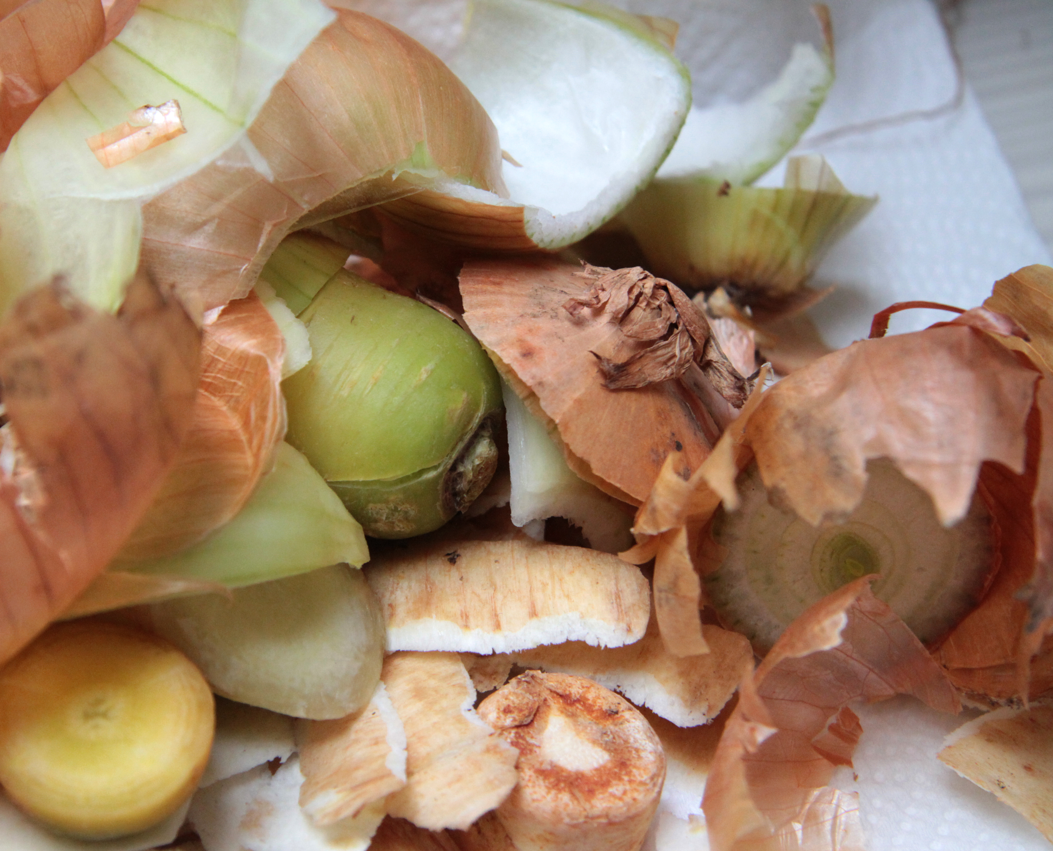 Seeking proposals to leverage digital solutions to create a food rescue or repurpose ecosystem