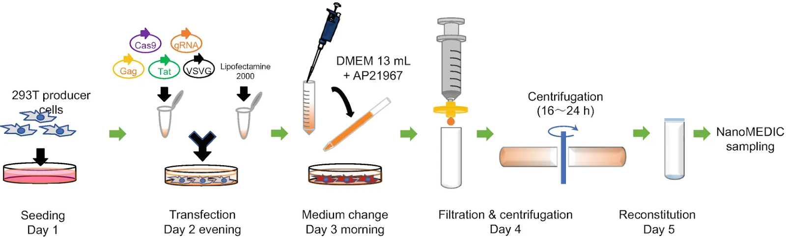 NanoMEDIC gene editing delivery system