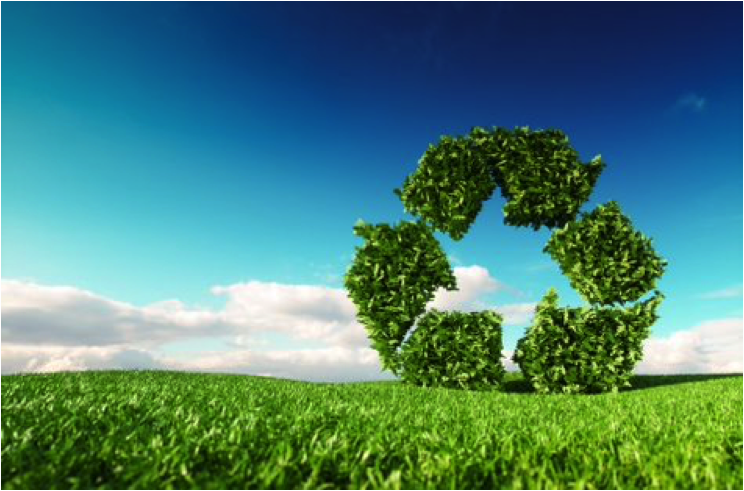 Seeking innovative technologies to convert agricultural waste into products of value