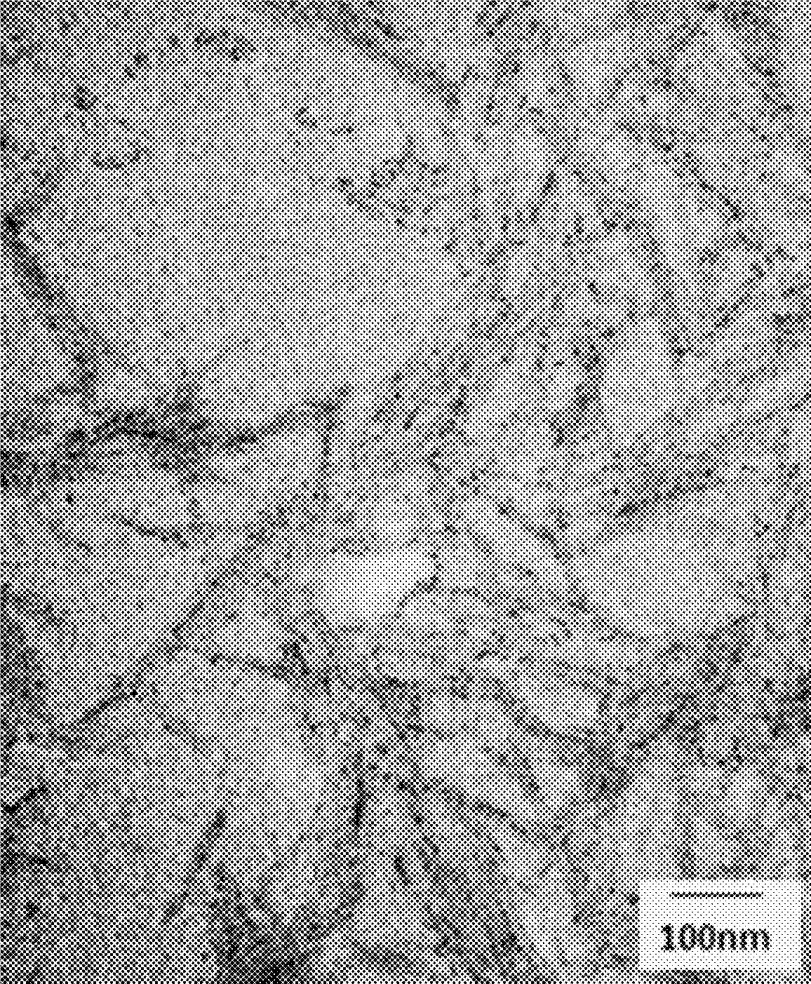 Conductive cellulose nanocrystals