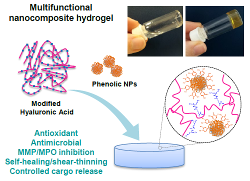 Nanoenabled hydrogels for advanced skin care : SkinGel