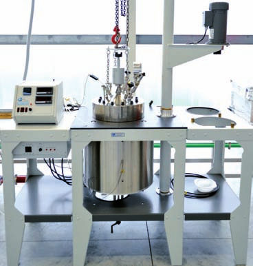 New prebiotics from biomass polysaccharides (hemicelluloses and pectins) for food and feed