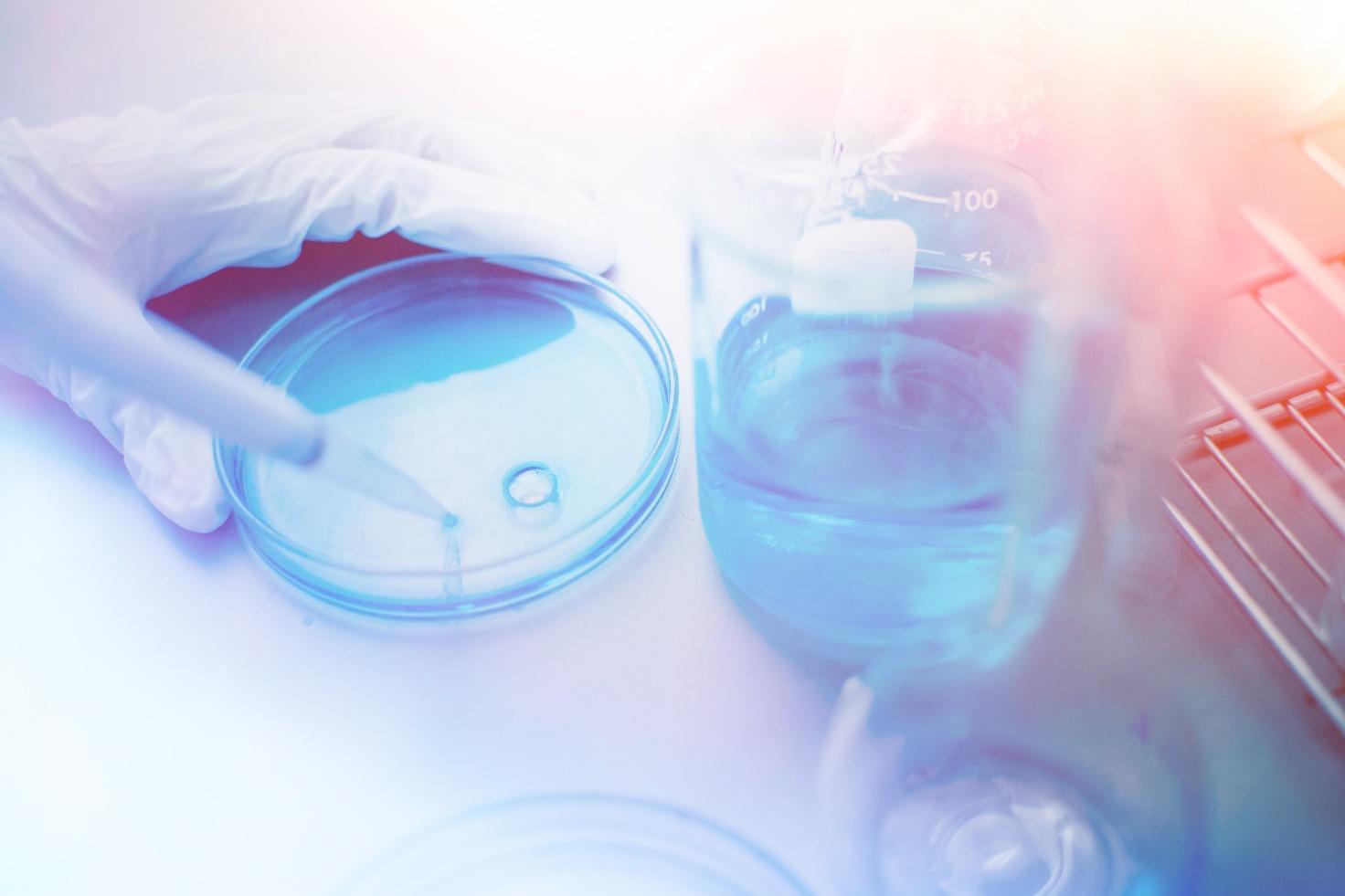 Seeking for Synthetic Protein for Fast Bacterial Growth
