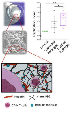 Mimetic lymph nodes for immune cell culture