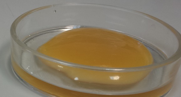 Advanced organic compounds with enhanced thermal energy storage capacity