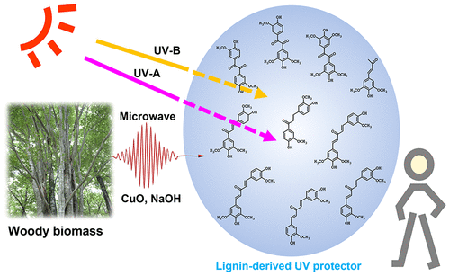 Next-Generation Lignocellulosic Materials