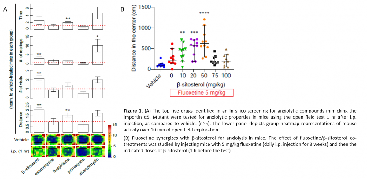 Treatment of Psychiatric Disorders by Inhibiting Importin Alpha 5