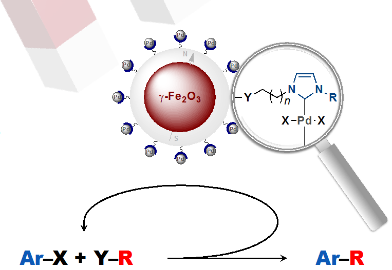 Heterogeneous NCH complex of palladium and their uses as recoverable catalysts.