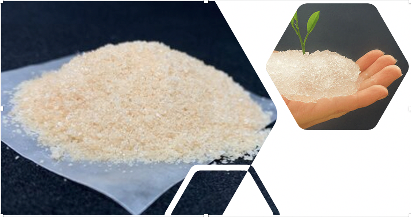Seeking Sustainable Superabsorbent Polymer