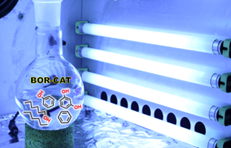 Process for the photocatalytic oxidation of alkanes and aromatic hydrocarbons