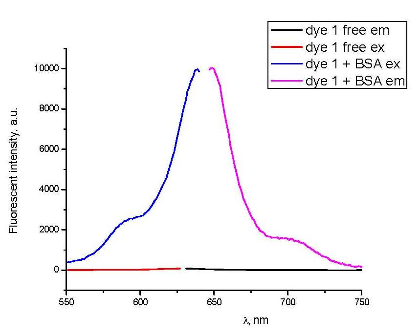 New Original Squaraine Dye for protein detection