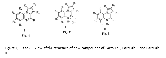 New inhibitor compounds of the tyrosine phosphatase 1B protein