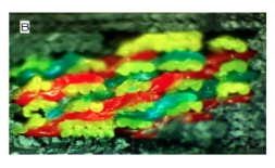 Z STITCH-INTERPLANAR STITCHING ALGORITHM FOR 3D PRINTING CROSS PLANAR INTERWEAVED