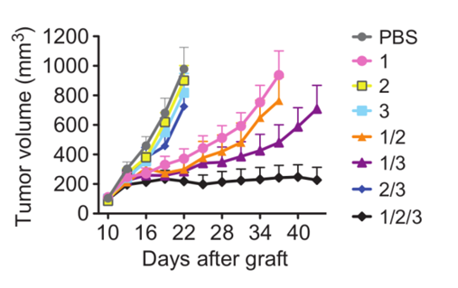 Treating Drug-Resistant Lung Cancer Using a Combination of Antibodies