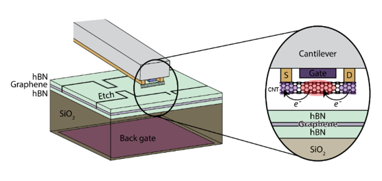 CNT-Based Structure for High-Resolution Semiconductor Process Control
