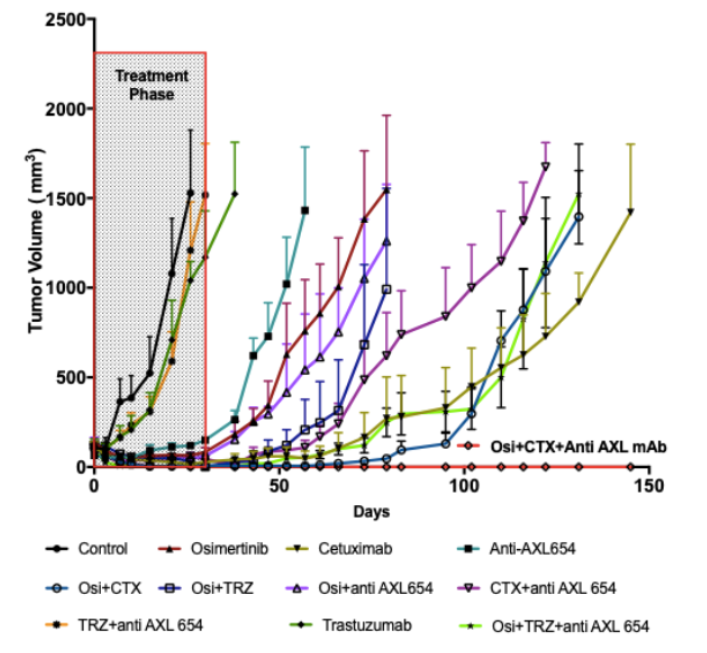 Treatment for Drug-Resistant Non-Small Cell Lung Cancer