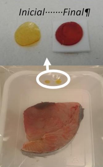 Smart Tag to Determine the Quality of Packaged Fish