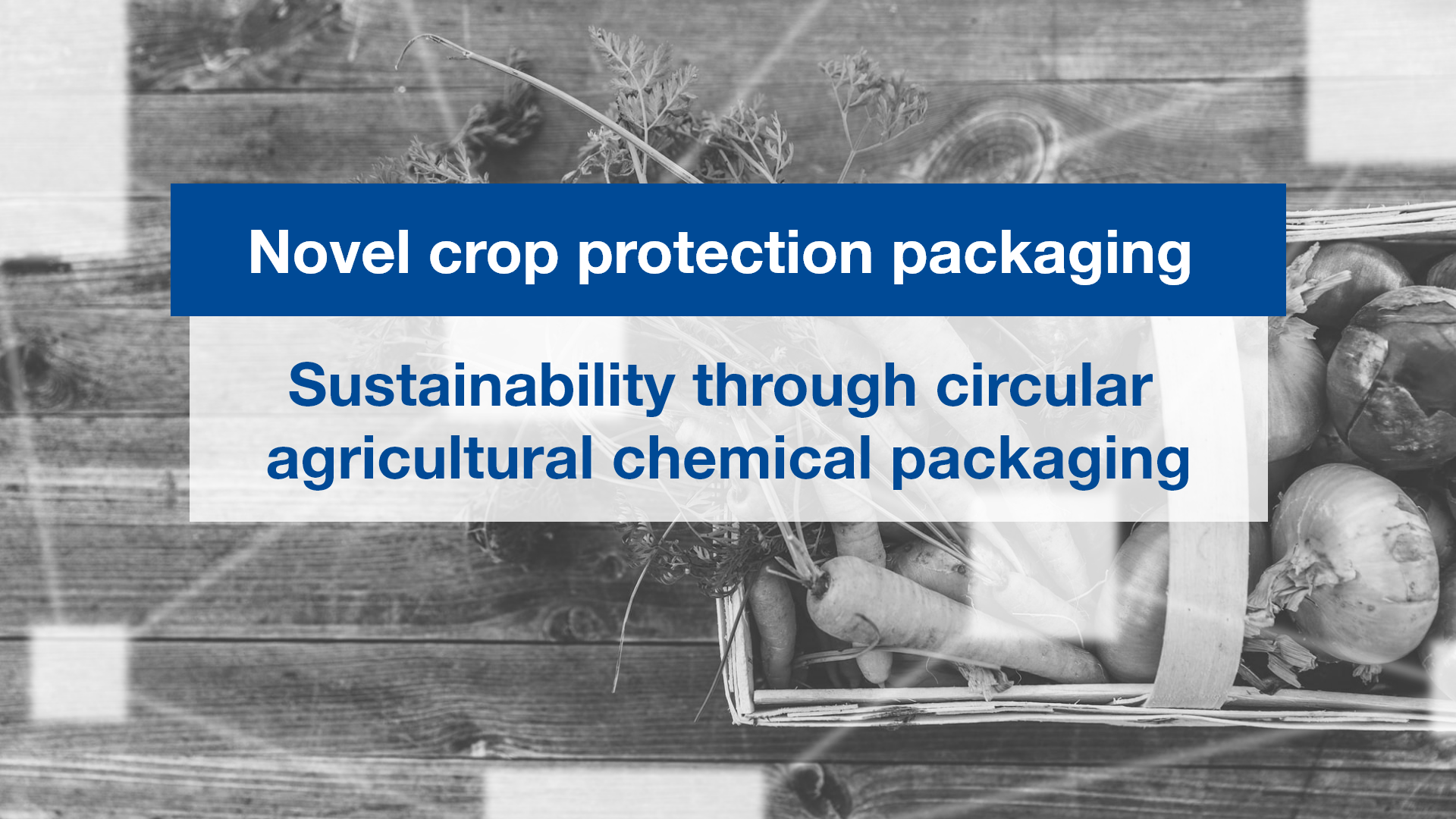 Seeking partner to address cicular economy of chemical plastic waste