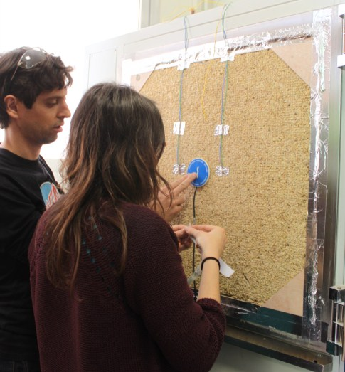 New bio-based insulation material from vegetal pith and natural binders