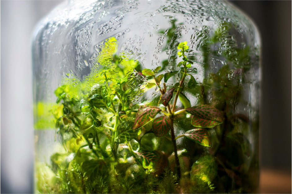 Seeking innovative technologies to harvest water from air (humidity) in harsh conditions