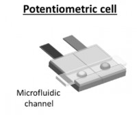 Potentiometric sensors for the selective and direct detection of hydrogen peroxide