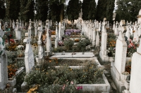 Diagnosis and solutions to improve mortuary services in cemeteries.
