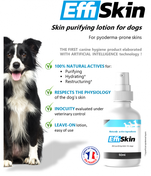 Effiskin(r), a veterinary hygiene product adapted to dogs with pyoderma prone skins