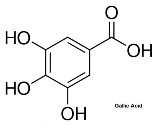 Gallic Acid for the treatment of pathologies produced by hyperactivation of renin-angiotensin-aldosterone system