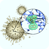 SARS-CoV-2 Helicase Targeted Library