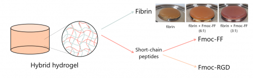 Hydrogels for the production of artificial tissue with enhanced mechanical properties