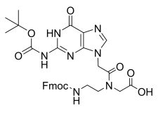 Fmoc-PNA-G(Boc)-OH Cas 1052677-90-3