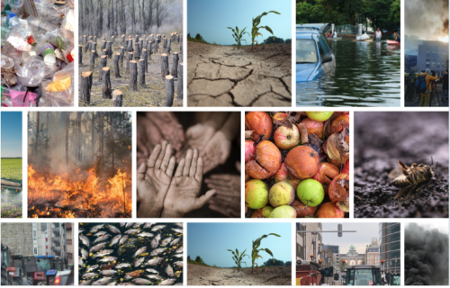 Enabling agrifood supply chain resilience (University of Cambridge, IFM, UK)